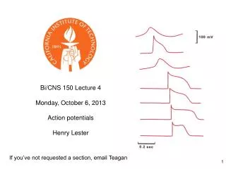 Bi/CNS 150 Lecture 4 Monday, October 6, 2013 Action potentials Henry Lester