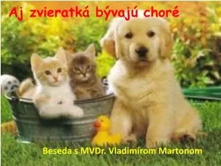 aj zvieratk b vaj chor
