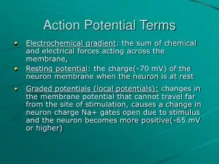 Action Potential Terms