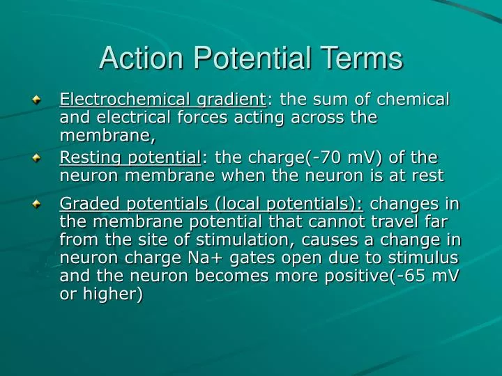 action potential terms