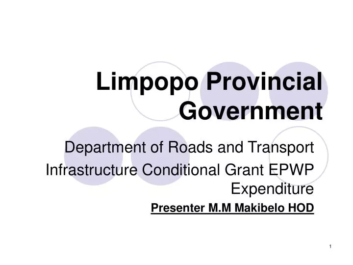 limpopo provincial government