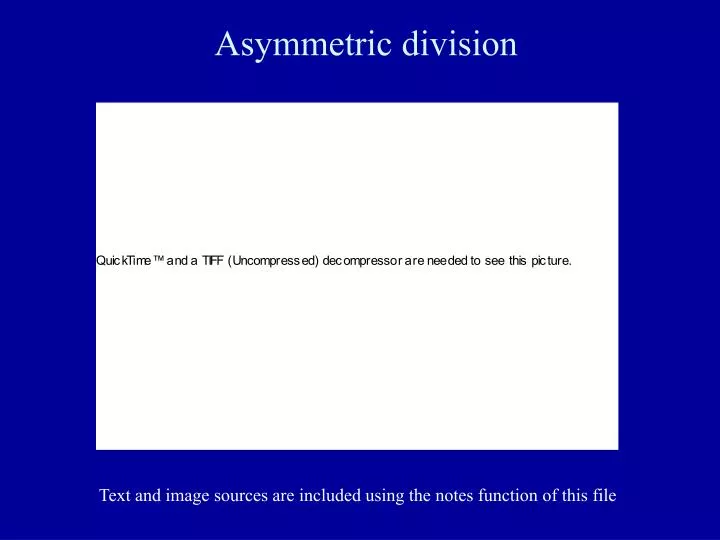 asymmetric division