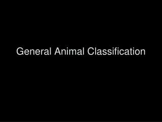 General Animal Classification