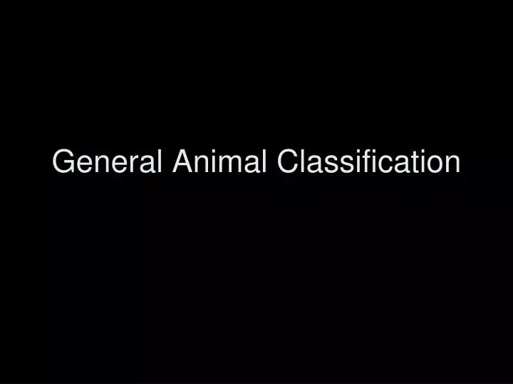 general animal classification