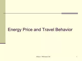 Energy Price and Travel Behavior