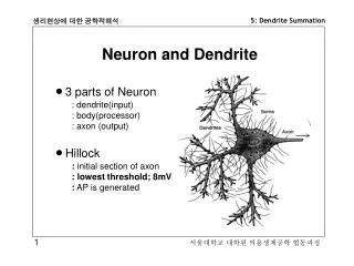 Neuron and Dendrite