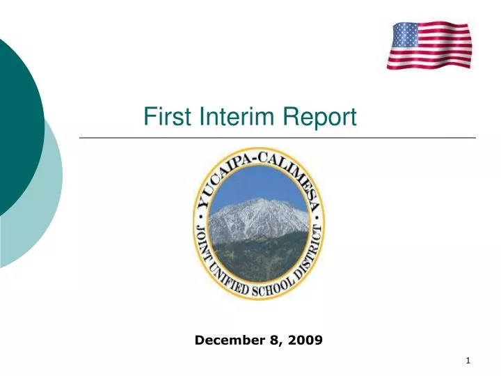 first interim report