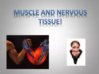 Muscle and nervous Tissue!