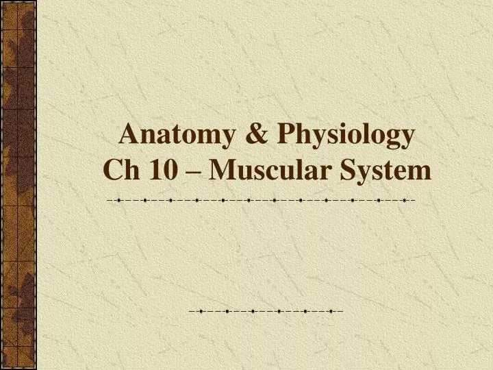 anatomy physiology ch 10 muscular system