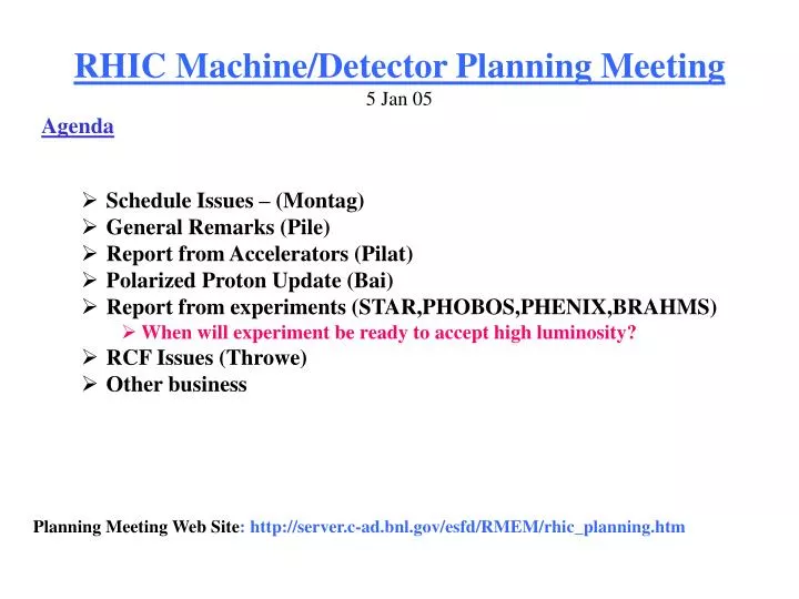 rhic machine detector planning meeting 5 jan 05