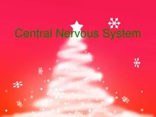 Central Nervous System