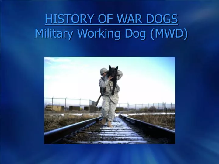 history of war dogs military working dog mwd