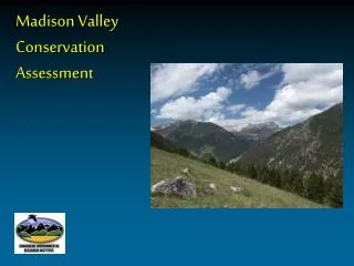Madison Valley Conservation Assessment