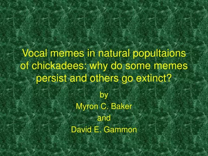 vocal memes in natural popultaions of chickadees why do some memes persist and others go extinct