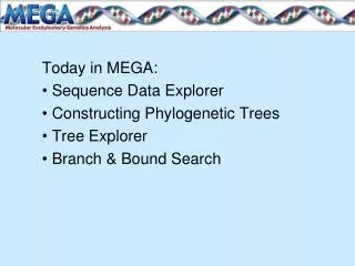 Today in MEGA: Sequence Data Explorer Constructing Phylogenetic Trees Tree Explorer