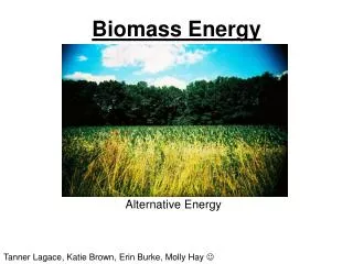 Biomass Energy