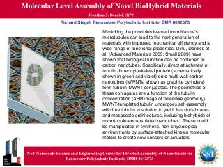 Molecular Level Assembly of Novel BioHybrid Materials Jonathan S. Dordick (RPI)