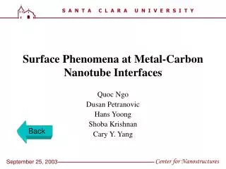 Surface Phenomena at Metal-Carbon Nanotube Interfaces