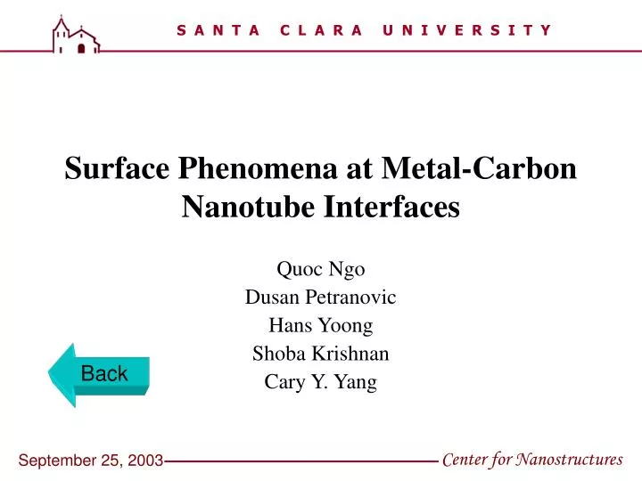 surface phenomena at metal carbon nanotube interfaces