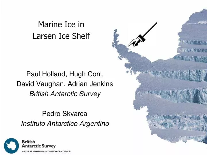 Marine Ice in Larsen Ice Shelf