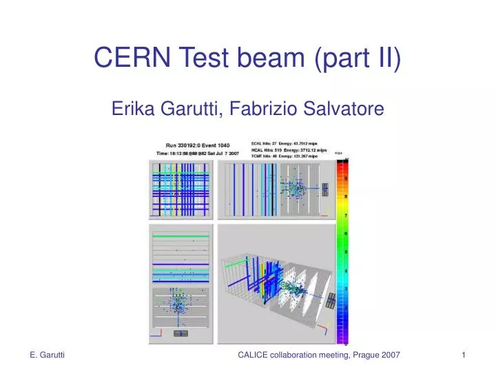 cern test beam part ii erika garutti fabrizio salvatore