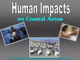 on Coastal Areas