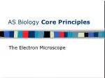 AS Biology Core Principles