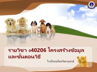 40 206