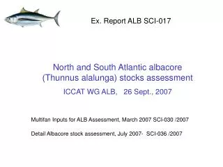 North and South Atlantic albacore (Thunnus alalunga) stocks assessment