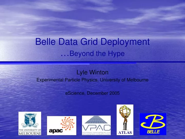 belle data grid deployment beyond the hype