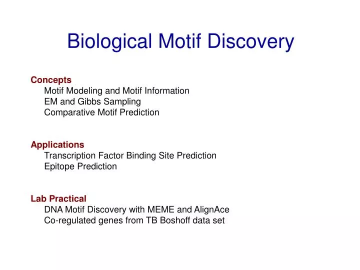 biological motif discovery