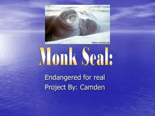 Endangered for real Project By: Camden