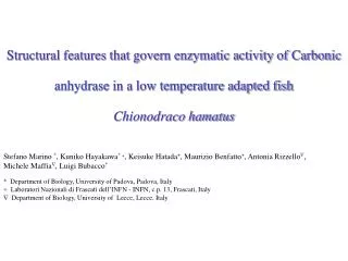 Structural features that govern enzymatic activity of Carbonic