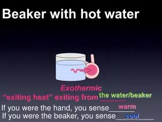 Beaker with hot water