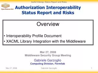 Authorization Interoperability Status Report and Risks