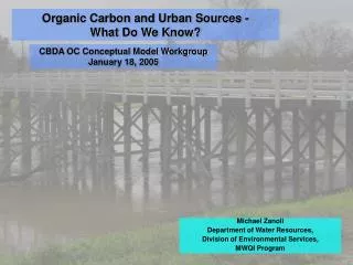 Organic Carbon and Urban Sources - What Do We Know?