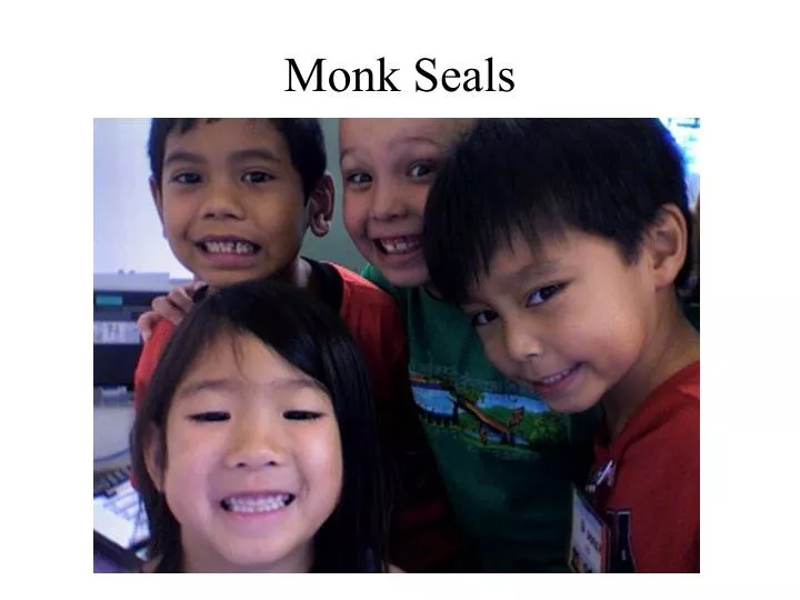monk seals