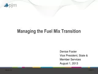 Managing the Fuel Mix Transition