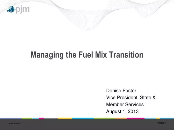 managing the fuel mix transition