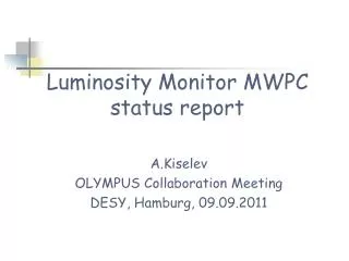 Luminosity Monitor MWPC status report