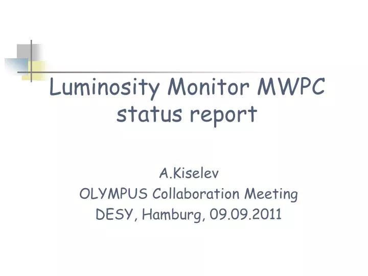 luminosity monitor mwpc status report