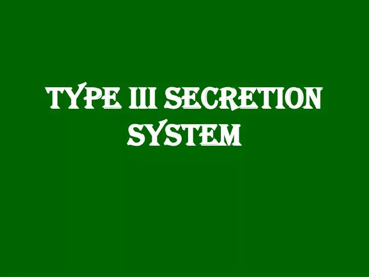 type iii secretion system