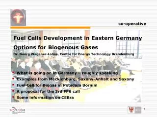 Fuel Cells Development in Eastern Germany Options for Biogenous Gases