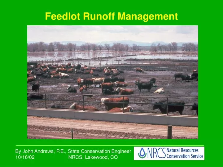 feedlot runoff management