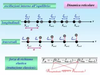 dinamica reticolare