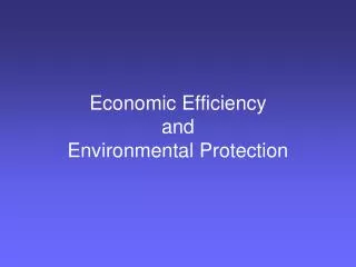 Economic Efficiency and Environmental Protection