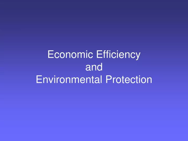 economic efficiency and environmental protection