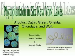 Arbutus, Catlin, Green, Oneida, Onondaga, and Wolf.