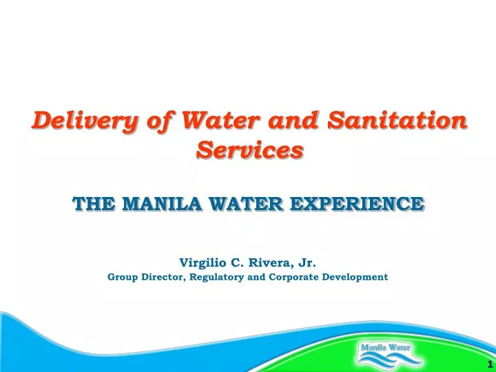 virgilio c rivera jr group director regulatory and corporate development