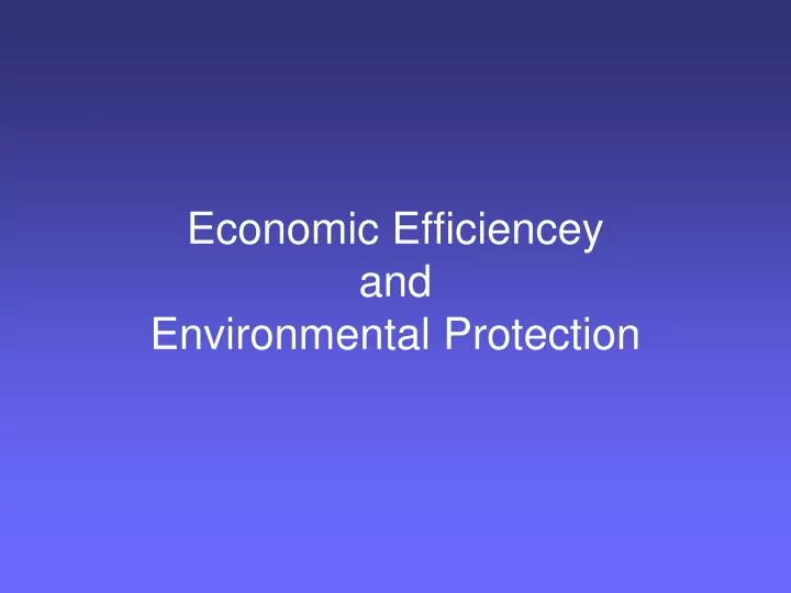 economic efficiencey and environmental protection